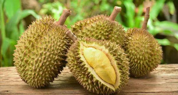 图片[3]-榴莲、山竹、火龙果&quot;英文的内涵是什么？-笑傲英语网
