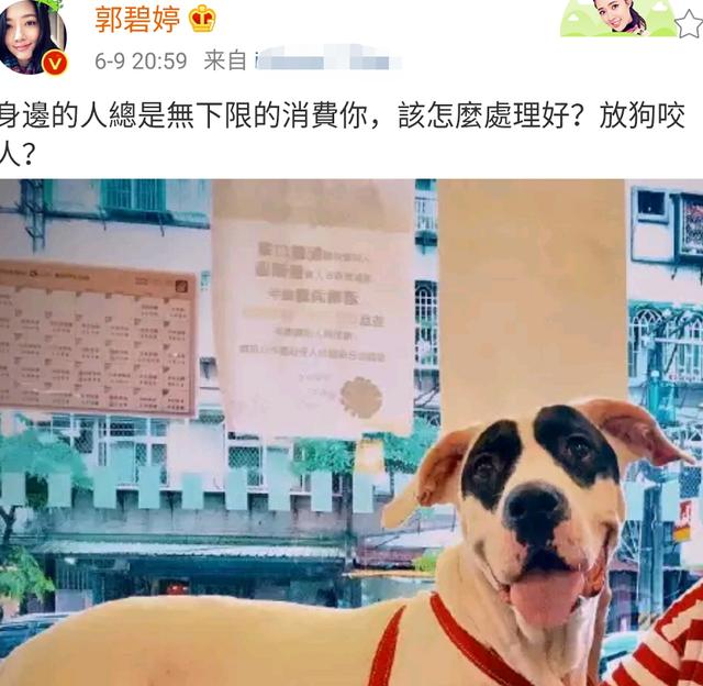 [悔不当初]郭碧婷感慨“悔不当初”后关评论引热议 脚踩豪门的她怎么了？