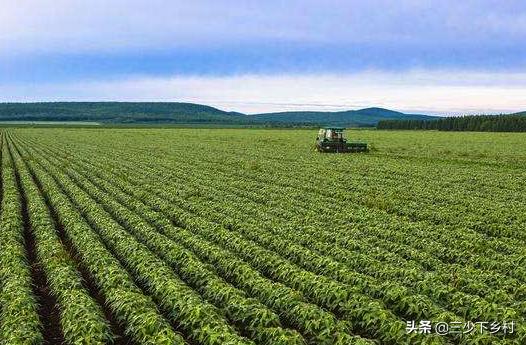 中国大豆之乡数不胜数，前5名黑龙江可占三席，富锦大豆全国闻名