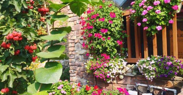 32岁苗苗坐拥别墅，红砖实木外观设计，犹如世外