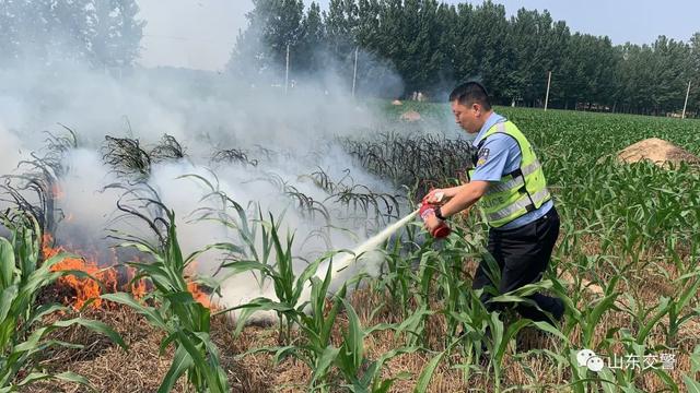群众事无小事，山东交警的守护一直伴您左右！