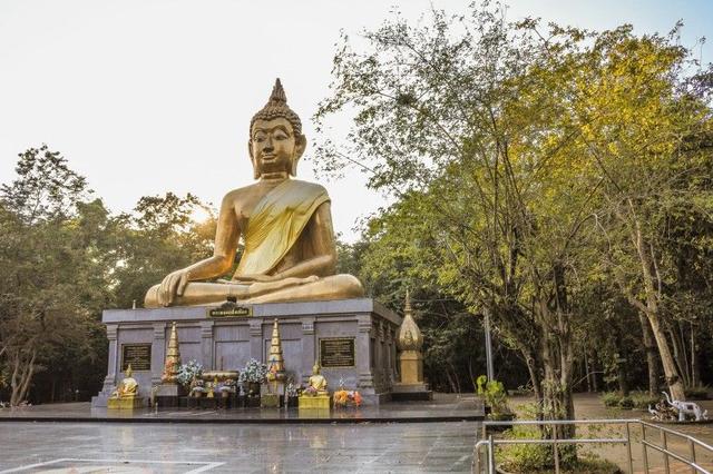 �������²�ɣ�����İ�Ȼ������������˵���ף���������顣