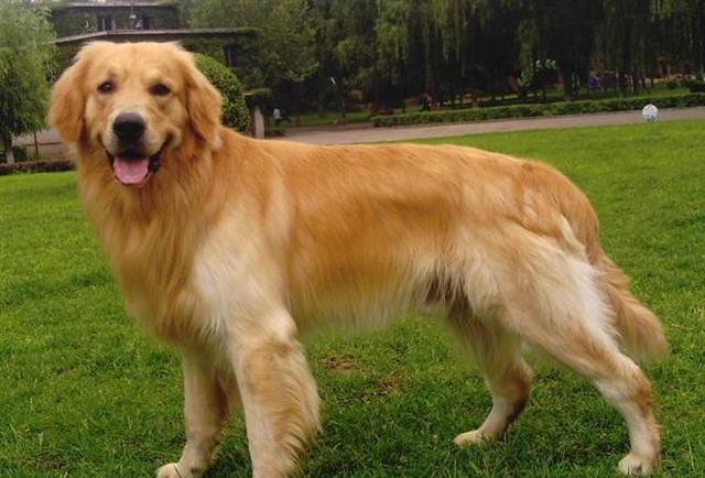 æéåå®¶åº­å»çåç§å¤§åç¬
