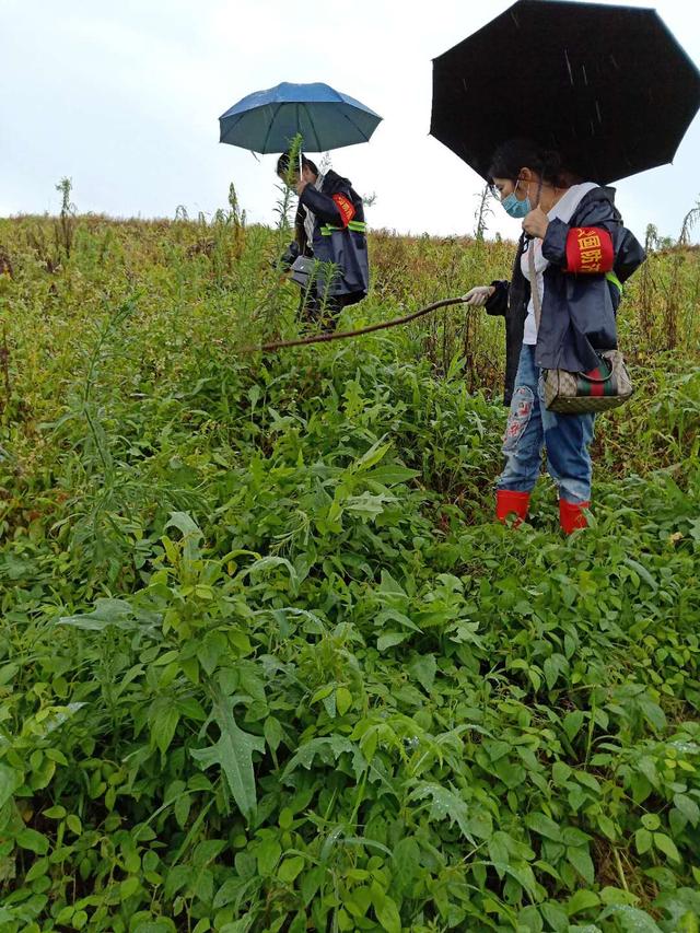 防汛防疫總動員 陽新縣蓮花池社區扎實巡堤顯擔當