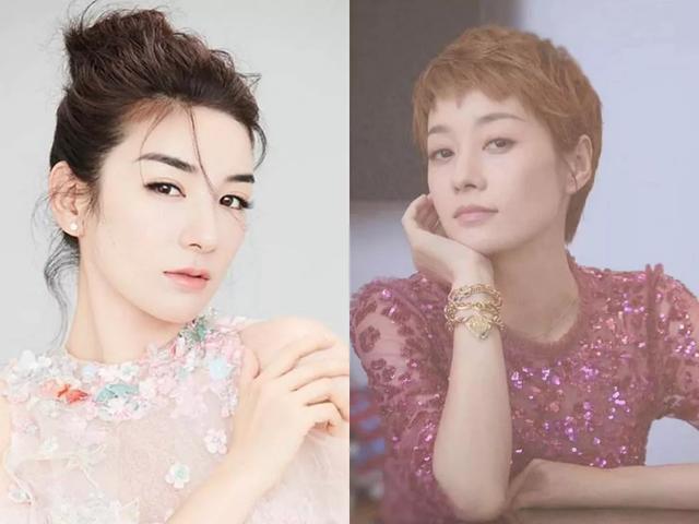 马伊琍黄奕17年后同框，走出婚变的她们成《还珠