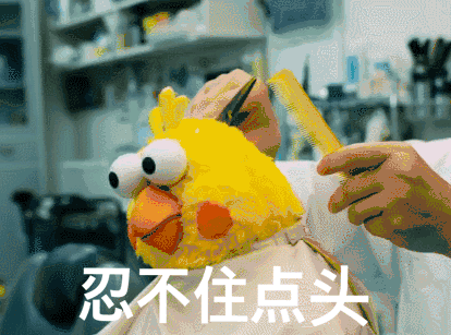 临沂幼升小、小升初政策何时发布？回应了