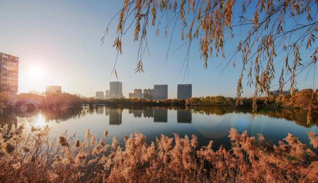 河南中医药大学：新增本科专业，扩大本科招生规模