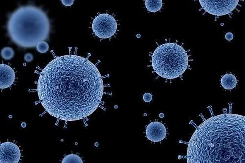 瑞典群体免疫策略宣告破产，死亡人数为邻国1