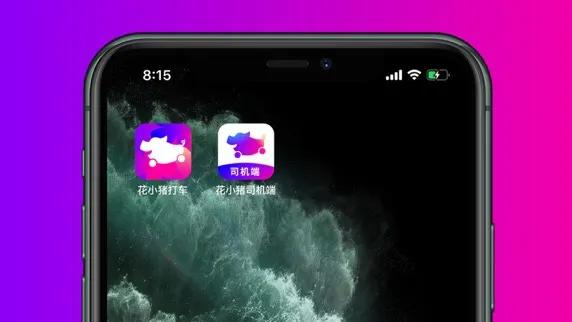 滴滴动作不断，网约车出行市场，闯入了一头“花小猪”