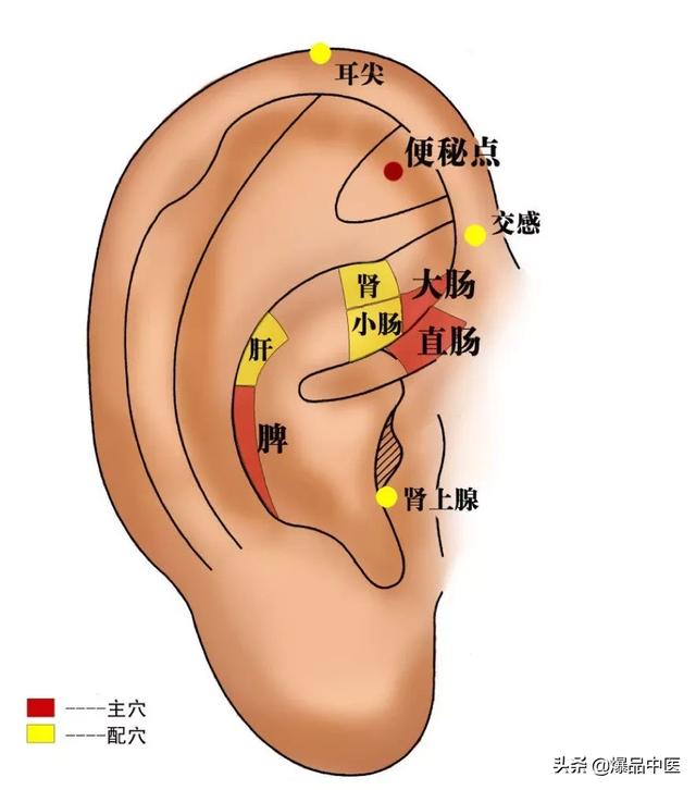 耳朵可以治百病