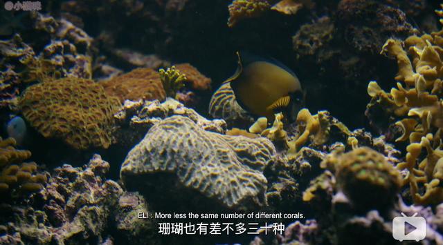 没想到家装节目有胆将凶宅变成改造对象？