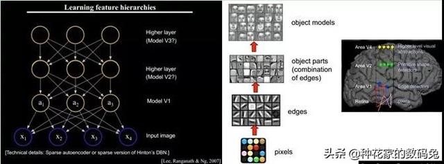 深度学习技术详解