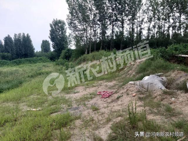 巩义：盗采河砂毁耕地 一年多来无人管