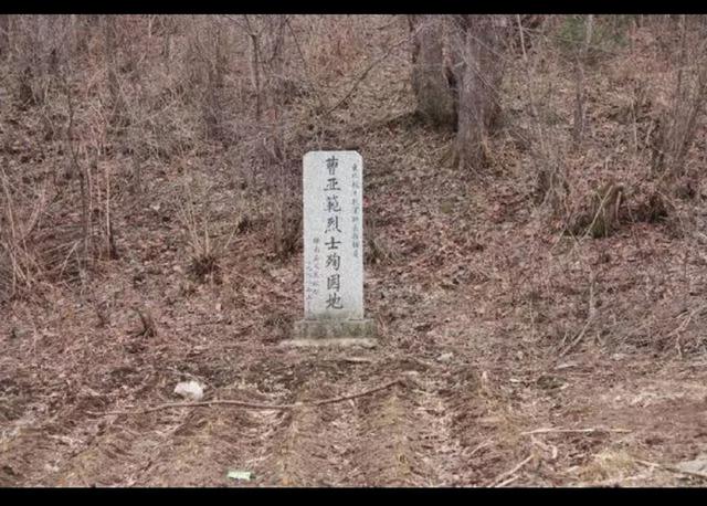 他和杨靖宇是亲密战友，与金日成在抗联是搭档