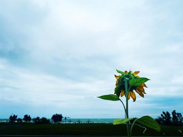 秒删|王珞丹发文秒删上热搜！内容有点幼稚引热议 早起再更文依旧消极