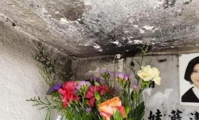 蓝洁瑛到底招惹了谁，死了连墓地都被毁了，让