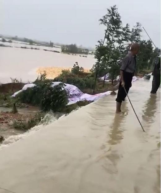湖北武穴：爱心企业家周江涛向花桥镇刘陆溪受灾村民捐赠生活物资