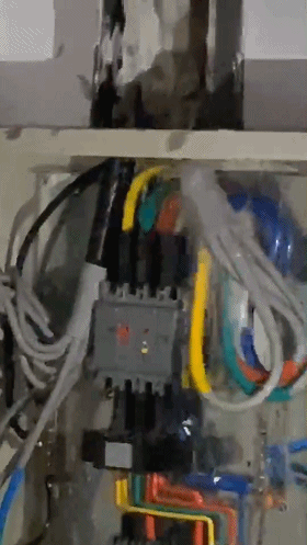 菏澤成武縣一小區(qū)漏水致電梯停運半個月，業(yè)主每天爬樓梯苦不堪言
