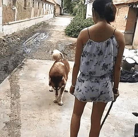 狗狗不回家，女主人拿着棍子堵在路口，画面相