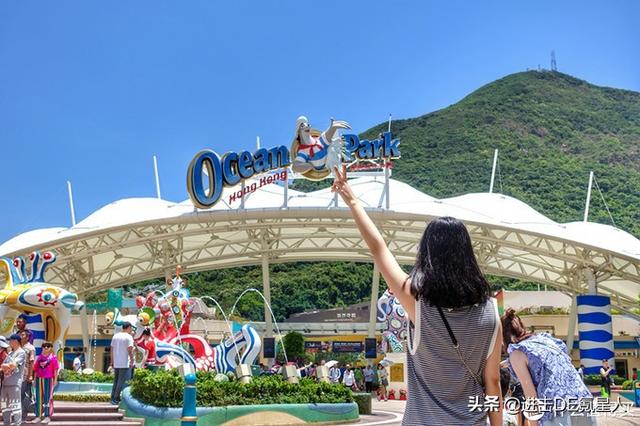 双重打击下，香港海洋公园面临倒闭