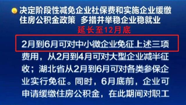 好消息！社保減免政策延至年底，個人權益不受影響