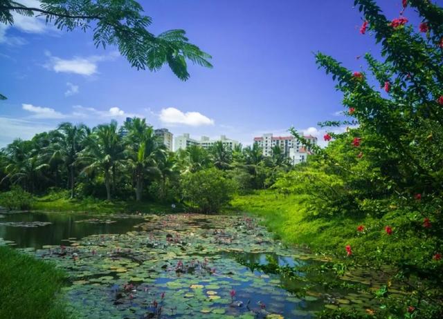 三亚1.5h直达！这座全国荔枝第一甜的海滨古城，