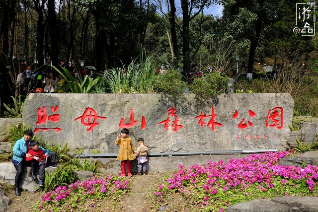 重庆周末出游指南：到公园赏花，打卡网红景点，还能给自己充电