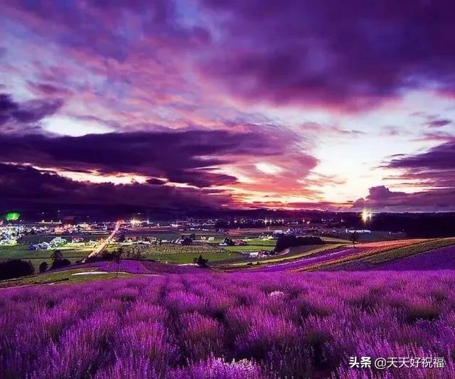 自我|2020早晨好自我激励的正能量语句，心灵鸡汤经典说说句子