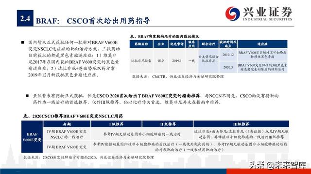 肺癌专题报告：序贯靶向治疗是核心，免疫联合治疗是新常态