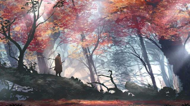 《只狼》发售一年后将迎来新版本，终于可能换新服装了