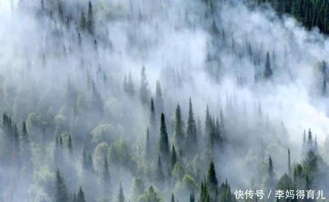 全球最大的国家，大半国土无人居住，光是森林