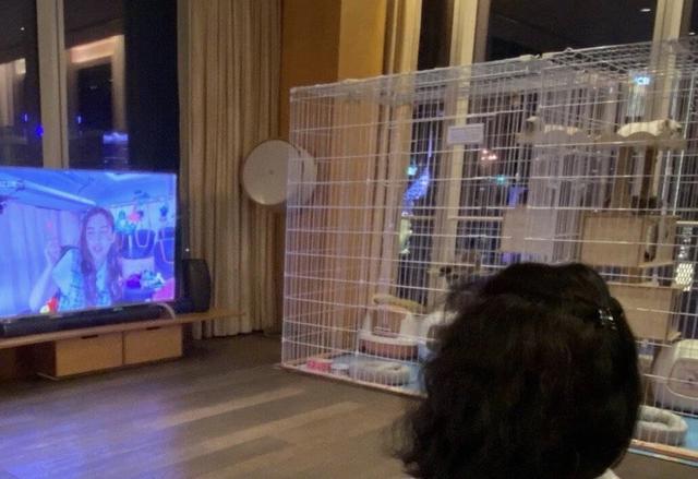 baby和儿子晒合照，无意间透露豪宅内景，网友“贫穷限制了想象”