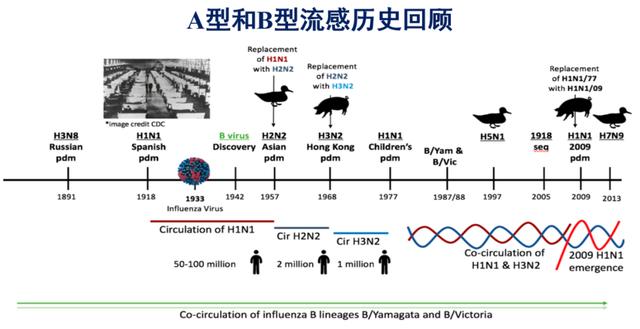 抗新冠药物及疫苗的研究进展