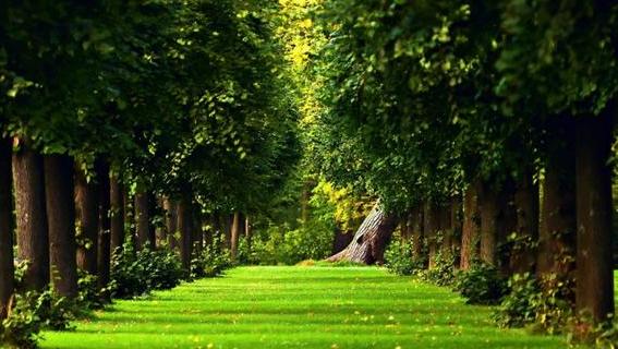 两性交往，男女之间做过这四种事，感情会升温很快