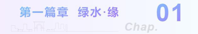 一场唯美、精彩的婚礼秀在绿水青山的湖州安吉上演