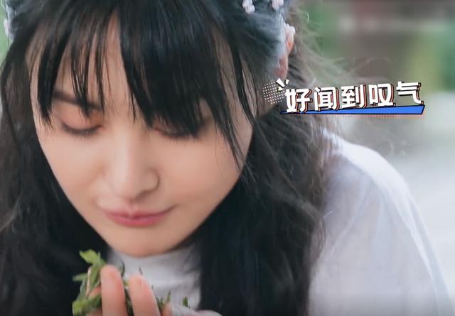 郑爽嗅着茶叶芳香，表情令人陶醉，宛如漫画走出的二次元少女
