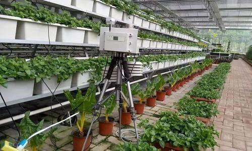 农业龙头企业是乡村发展骨干力量；有机农业的