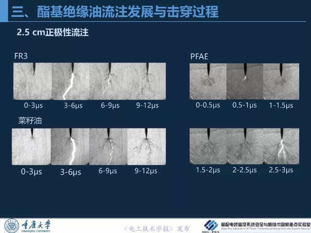 重慶大學(xué)王飛鵬研究員：高性能酯基絕緣油與變壓器應(yīng)用