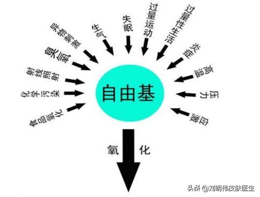 做好抗氧化到底有多重要？看这一篇就懂了