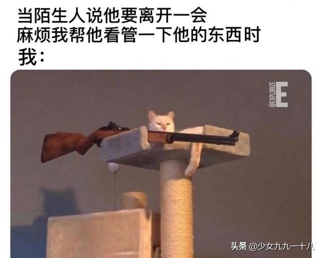 众所周知，直男用心=场面垮台，本以为他们会是王者……