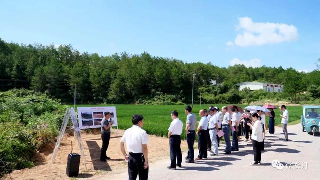 福建长汀：党建引领指方向 旧村复垦再出发