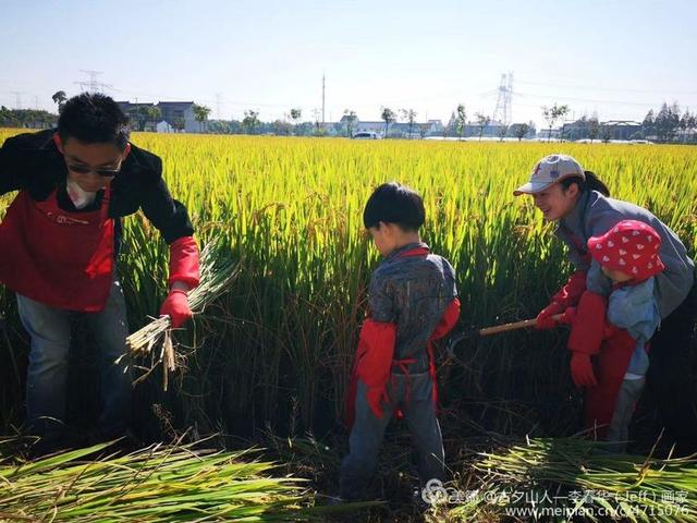 开民宿的建材老板卖着五常大米——上海奉贤南亭集序民宿