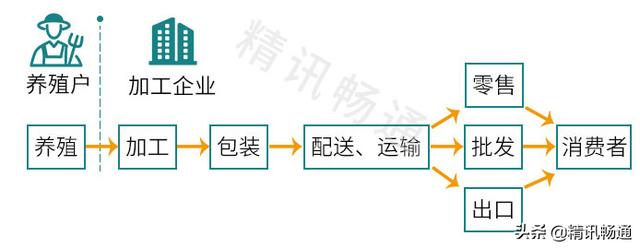 精讯畅通：智慧畜牧养殖解决方案