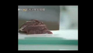 为什么她的美，观众总是不买账？