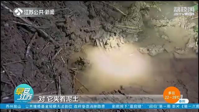 淮河东风大堤出现管涌 消防官兵两小时封堵九处漏水点