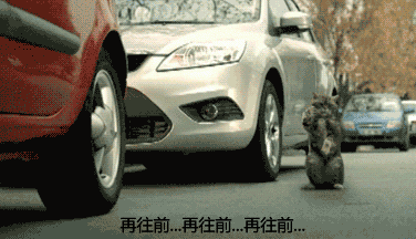 有趣GIF: 最怕倒车的时候瞎指挥