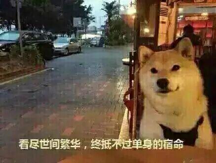 将微信提示音换成"打喷嚏"，超好玩