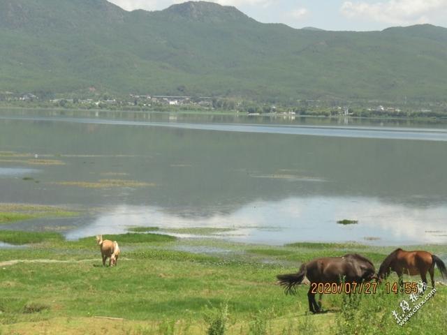 旅游旅行在丽江！人间值得