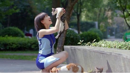 传《欢乐颂3》换人开拍？网曝蒋欣不参演，曲筱