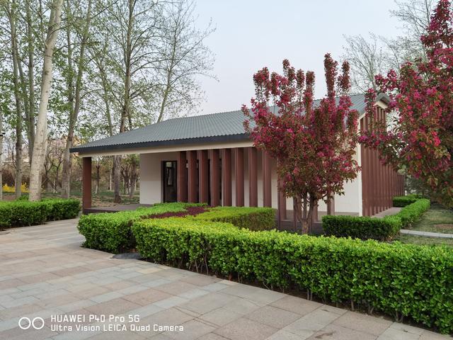 华为P40 Pro体验：用手机拍出好照片，其实真的很